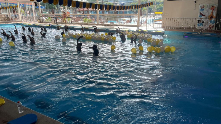 MARATONA DE HIDRO – 2025