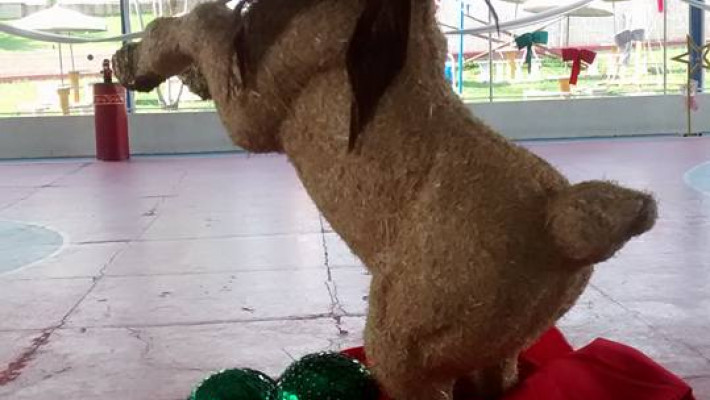 NATAL AABB COMUNIDADE