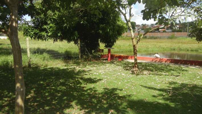 CONHEÇA UM POUCO DO CLUBE