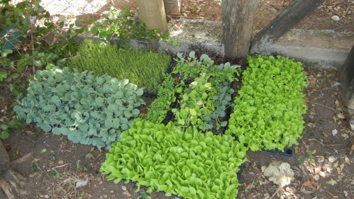 CONHEÇA UM POUCO DO CLUBE