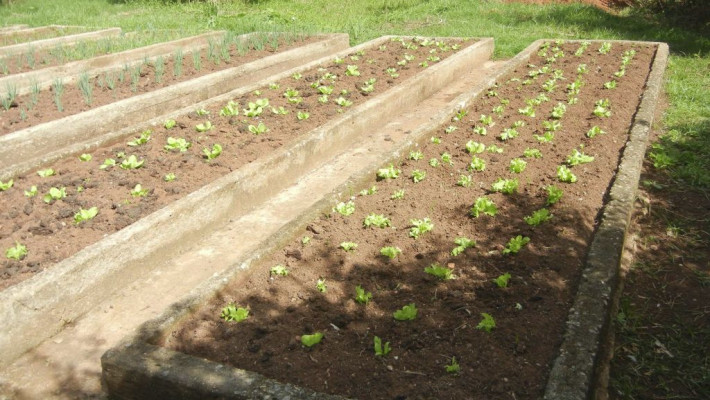 CONHEÇA UM POUCO DO CLUBE