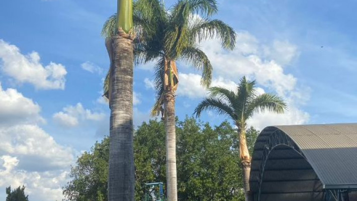 3ª EDIÇÃO DA COPA AMÉRICA – AABB