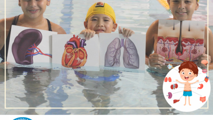 Metododologia de Natação Positiva.