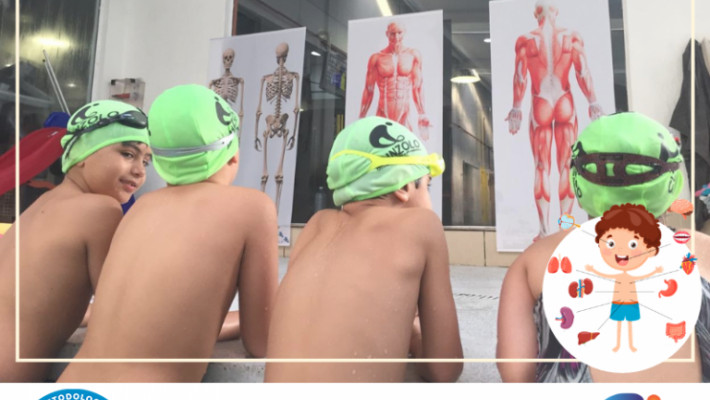 Metododologia de Natação Positiva.