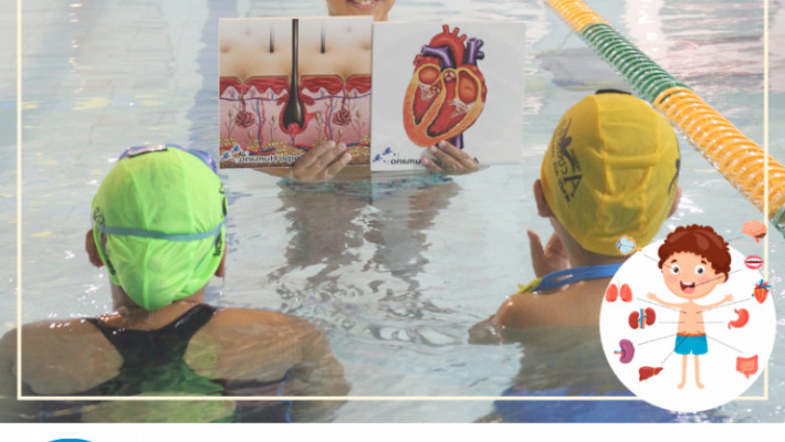 Metododologia de Natação Positiva.